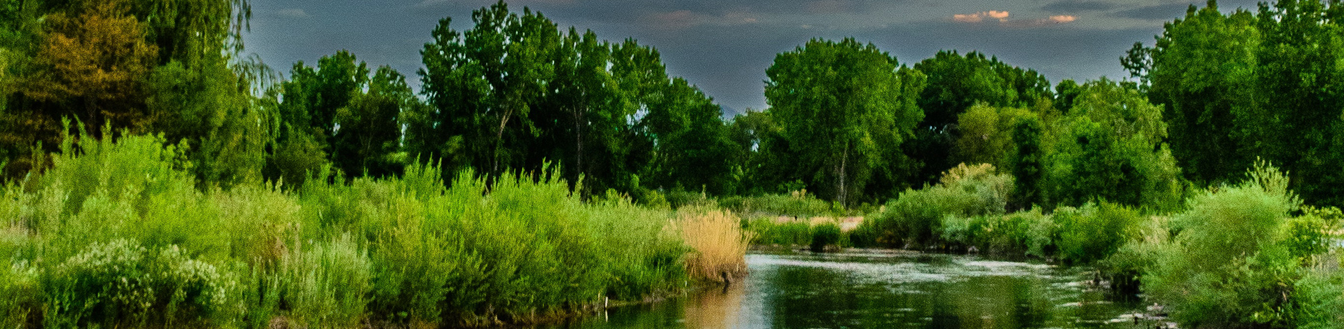 River to the Ocean
